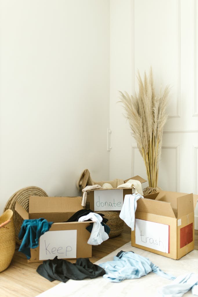 Boxes Used For Segregating Things at Home